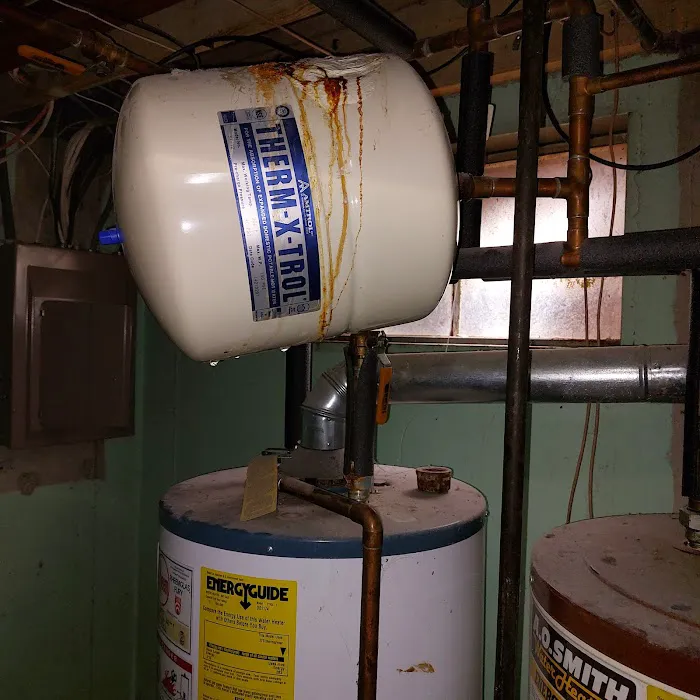 Apollo Home Picture 3