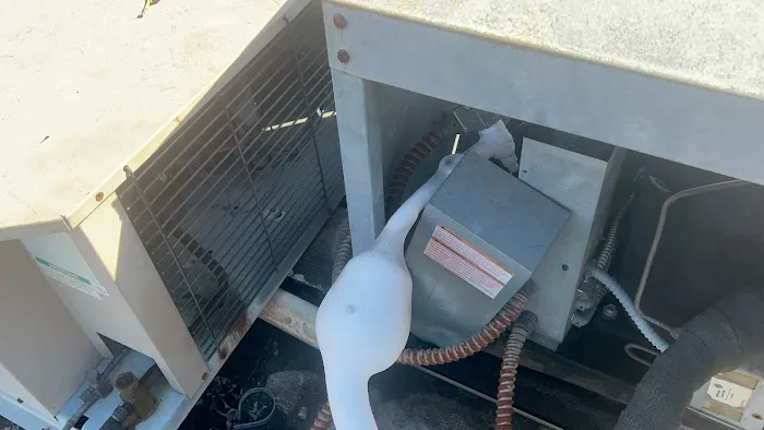 My AC Doctor LLC Picture 3