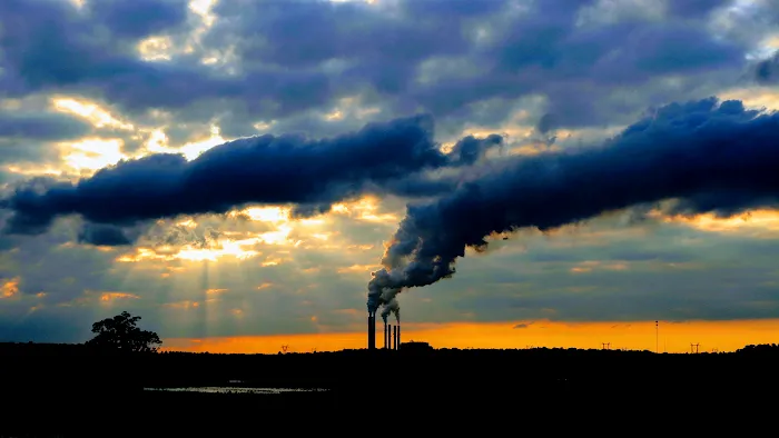 Princeton, LLC Picture 8