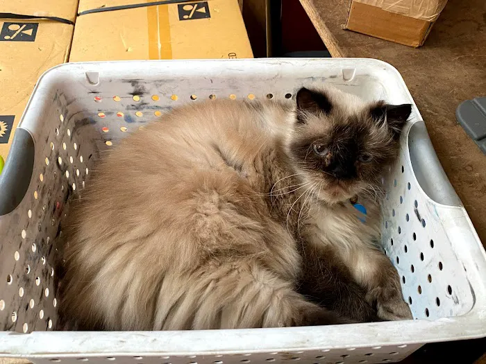 Bigg's and Moore Heating & Air Conditioning LLC Picture 5