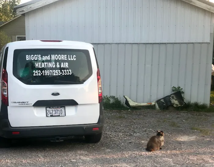 Bigg's and Moore Heating & Air Conditioning LLC Picture 4