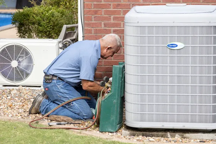 Dutch Enterprises Picture 7