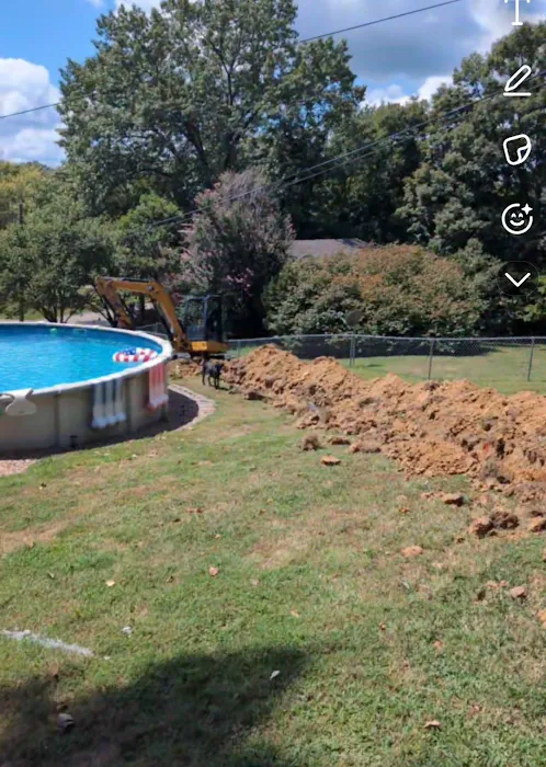 Dutch Enterprises Picture 5