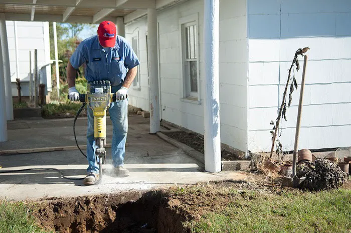 Dutch Enterprises Picture 9