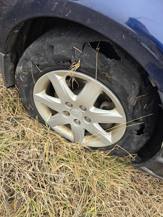 Plaza Tire Service Picture 6