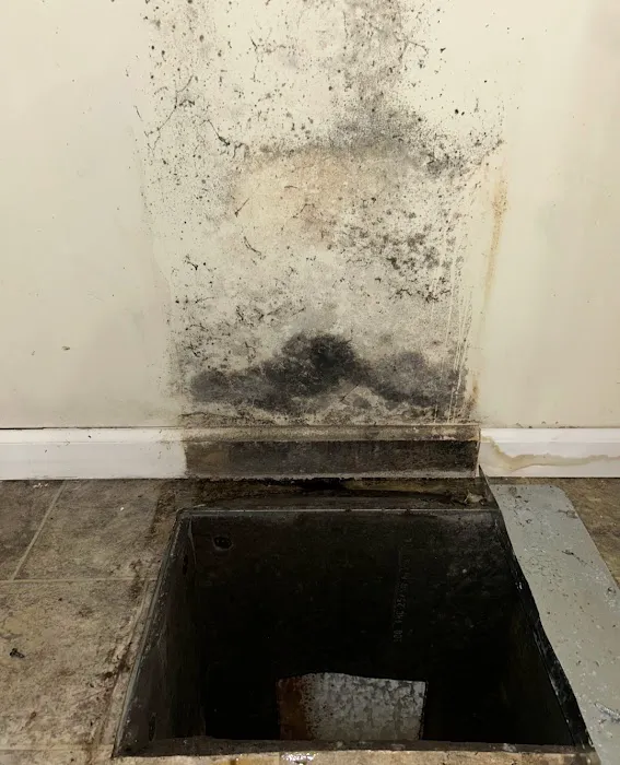 Tech Guy Heating and Cooling Picture 6