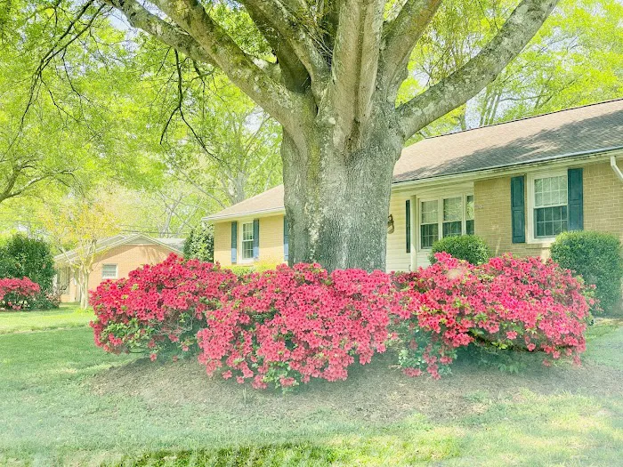 Conner Plumbing Heating & Air Conditioning Picture 1