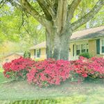 Conner Plumbing Heating & Air Conditioning