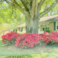 Conner Plumbing Heating & Air Conditioning ico