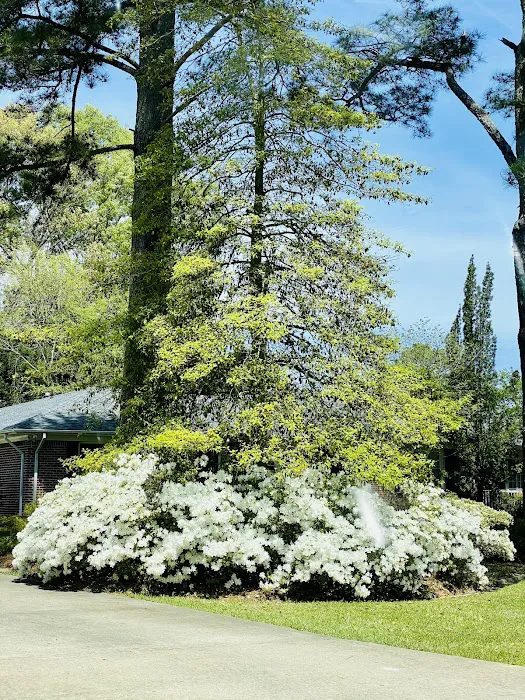 Conner Plumbing Heating & Air Conditioning Picture 7