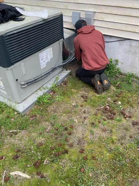 Brauer's Mechanical, Inc. Picture 2