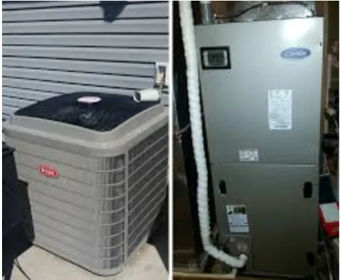 Five Star Services Picture 10