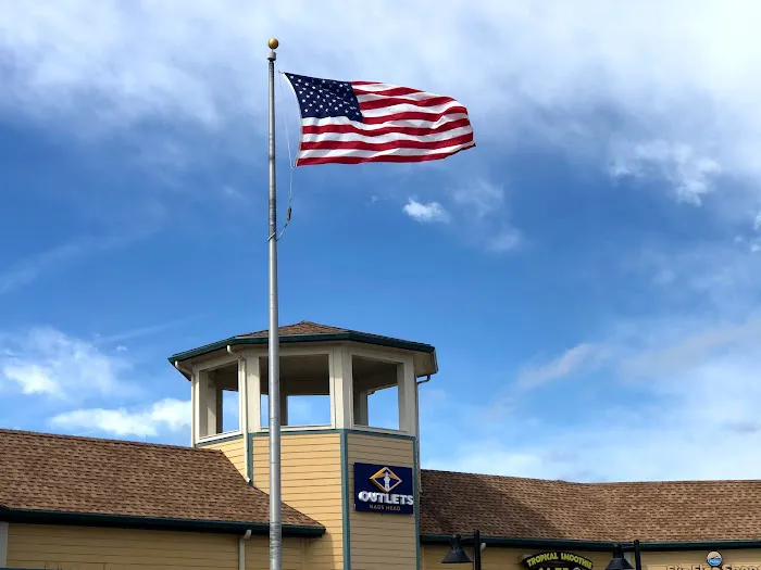 Master LLC. Picture 1