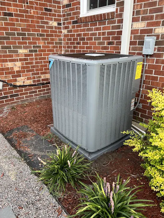 Shane's Services Picture 6