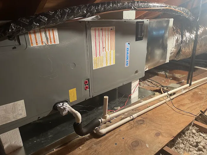 Shane's Services Picture 5