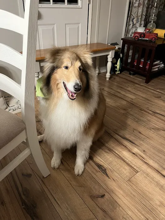 Total Comfort heating and cooling llc Picture 5