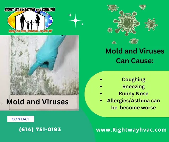 Right Way Heating & Cooling Picture 4