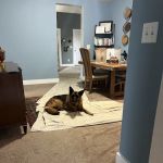 Luikart Heating and Cooling, Inc.