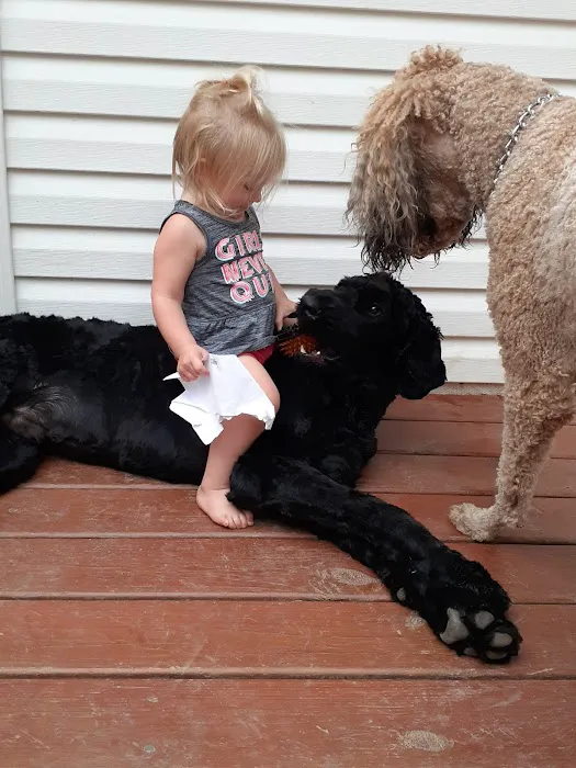 Glasmeier Plumbing & Air Picture 5