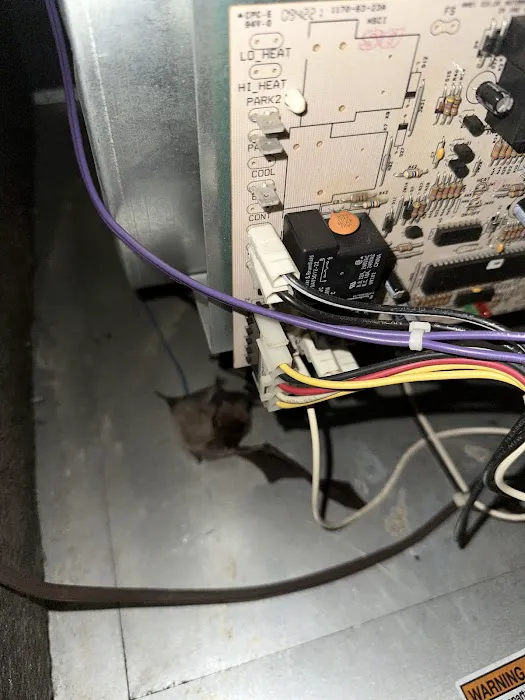 American Air Experts, LLC Picture 1