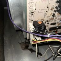 American Air Experts, LLC ico