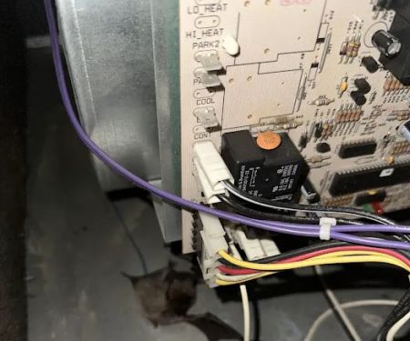 American Air Experts, LLC