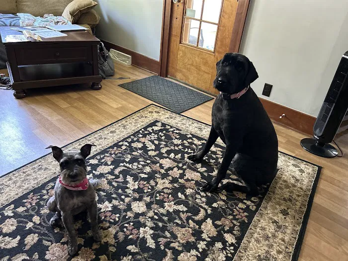 Patriot Air Comfort Systems Picture 2