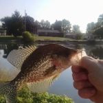 American Made Heating & Cool