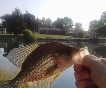 American Made Heating & Cool