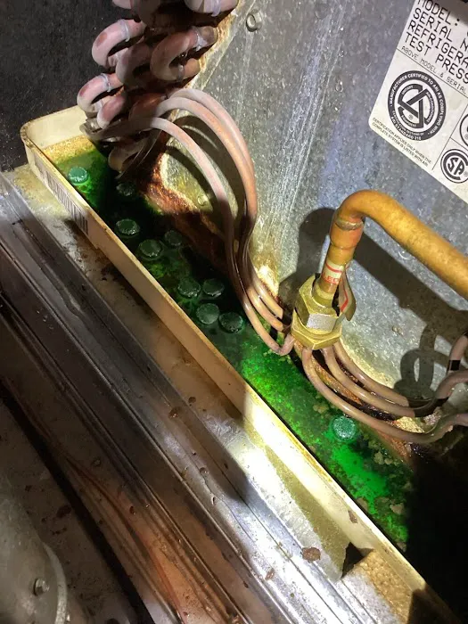 Peterman Brothers Picture 10