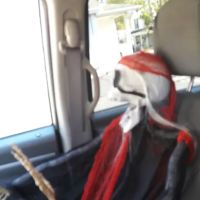 Central Repair Services ico