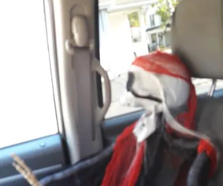 Central Repair Services