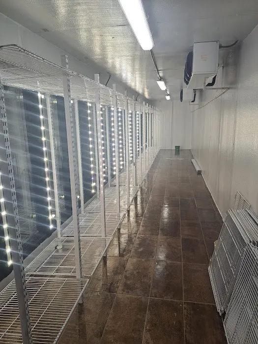 United mechanical LLC Picture 8