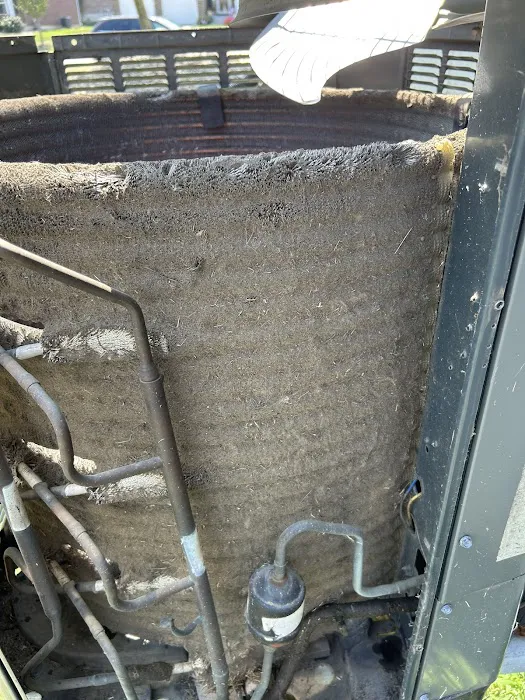 True Comfort LLC Picture 2