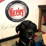 Niceley’s Appliance Repair Inc.