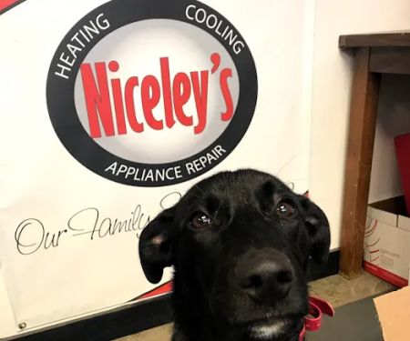 Niceley’s Appliance Repair Inc.