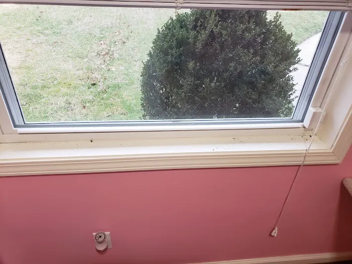 Knochelmann Service Experts Picture 4