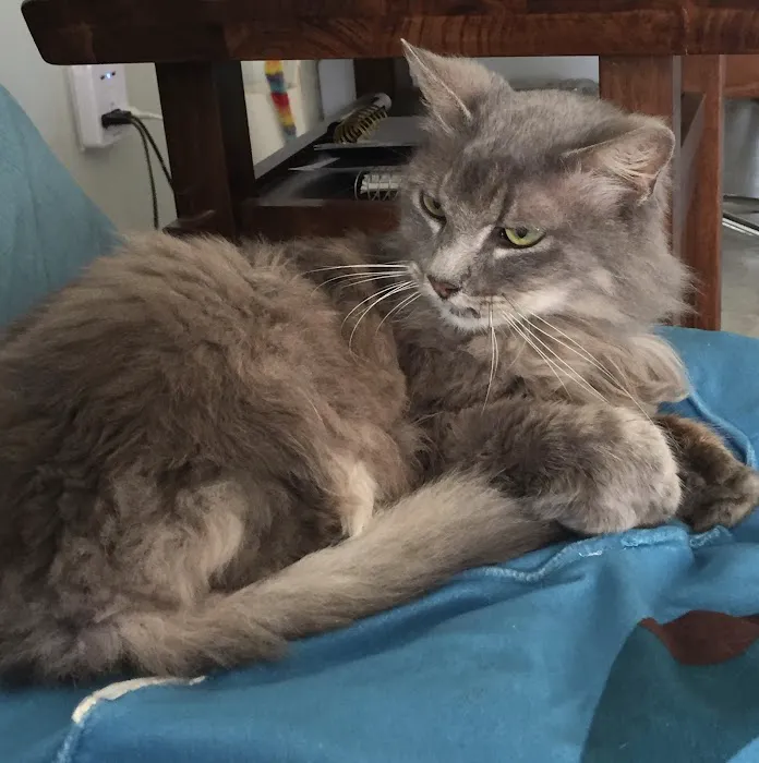 Home360 Inc. Picture 2