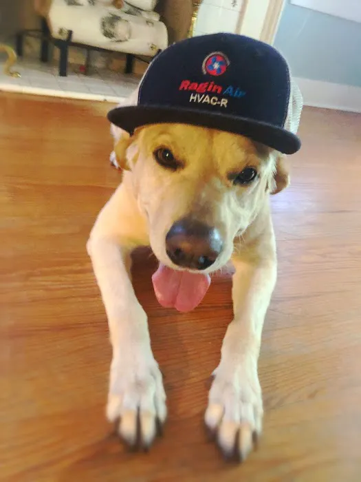 Ragin' Air, LLC Picture 5