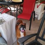 L & L Air Conditioning & Refrigeration