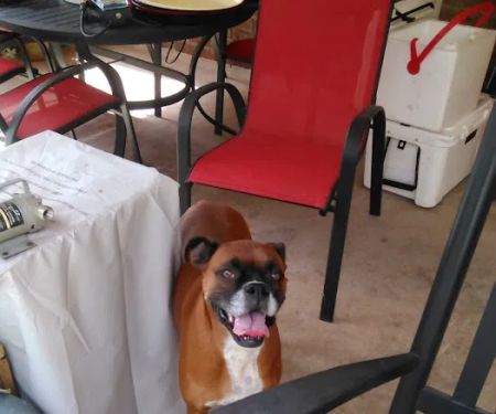 L & L Air Conditioning & Refrigeration