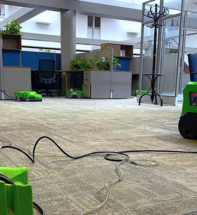 SERVPRO of Alexandria Picture 7