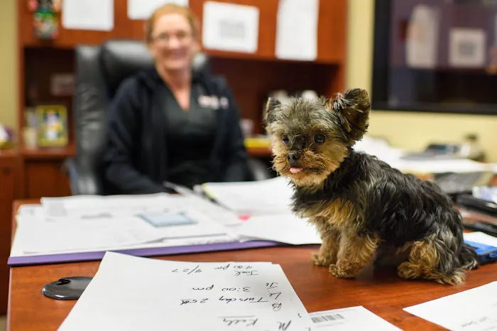 Kelly Scott One Hour Air Conditioning and Heating Picture 6