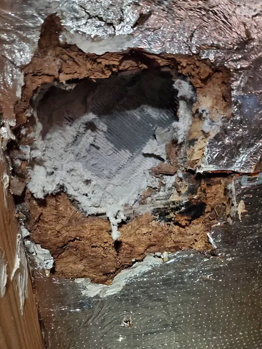 INNOVATIVE PROPERTY SOLUTIONS LLC Picture 5