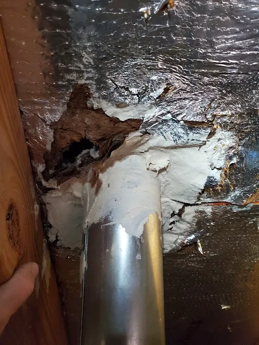 INNOVATIVE PROPERTY SOLUTIONS LLC Picture 1