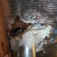 INNOVATIVE PROPERTY SOLUTIONS LLC ico