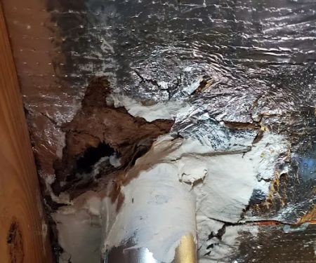 INNOVATIVE PROPERTY SOLUTIONS LLC