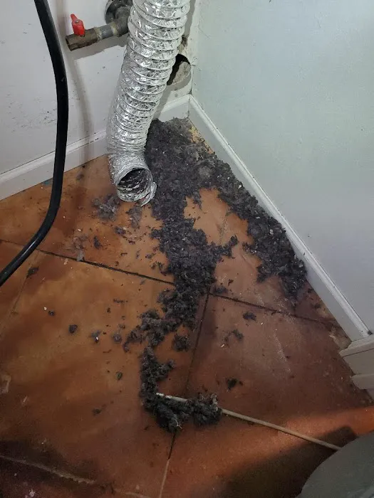 INNOVATIVE PROPERTY SOLUTIONS LLC Picture 9