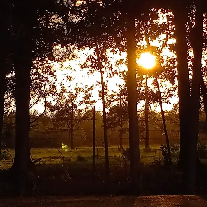 Opelousas Radio Equipment Inc Picture 5