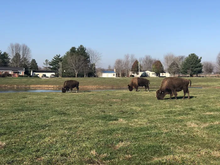 Adams Cooling Tower Inc Picture 1
